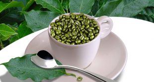 Caffè verde: cos’è e perché fa dimagrire