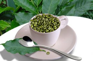 Caffè verde: cos’è e perché fa dimagrire