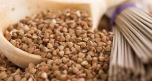 Grano saraceno: il cereale made in Italy privo di glutine