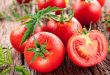 I pomodori non si conservano in frigo: il freddo altera il sapore