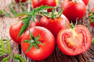 I pomodori non si conservano in frigo: il freddo altera il sapore