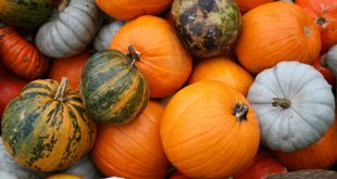 Zucca: l’ortaggio del mese di ottobre, proprietà e ricette gustose