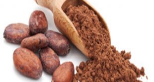 cacao crudo cacao cotto superfood antiossidante