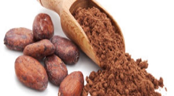 cacao crudo cacao cotto superfood antiossidante