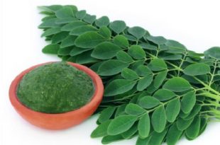 Moringa Oleifera superfood miracoloso: benefici, proprietà e controindicazioni