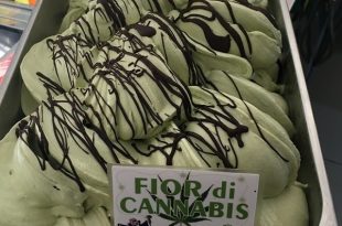 Fior di cannabis, gelato gusto canapa: quali sono gli effetti?
