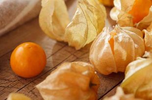 Alchechengi, benefici e proprietà delle bacche arancioni: come usarle in cucina?