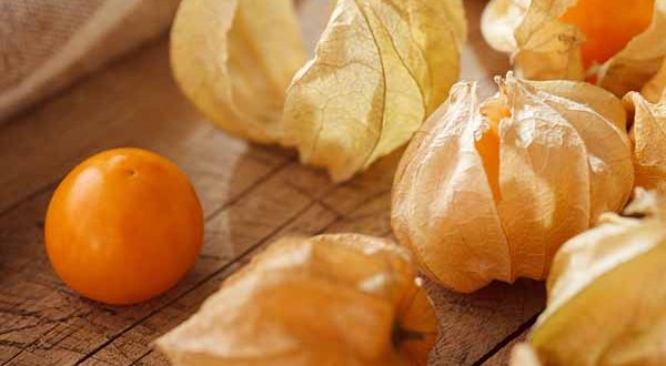 Alchechengi, benefici e proprietà delle bacche arancioni: come usarle in cucina?