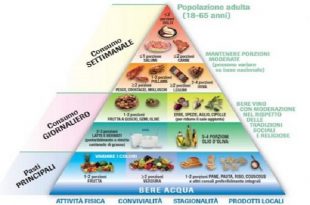 Piramide alimentare, le basi della corretta alimentazione