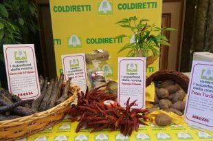 Superfood Made in Italy: la Coldiretti premia i cibi della nonna