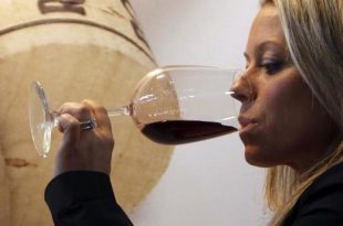Il vino italiano: alla scoperta del settore vitivinicolo da nord a sud