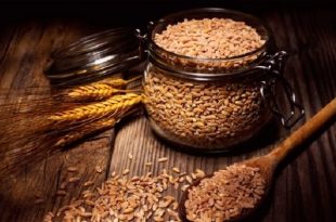 Farro cereale proteico e con basso indice glicemico: benefici e proprietà