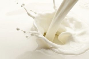 Intolleranza al latte vaccino, quali alternative vegetali